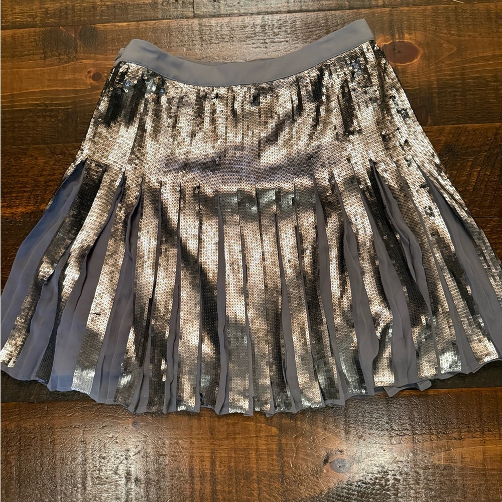 Banana Republic NWT Size 2 Silver Sequin A-Line Skirt 🪩